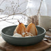 Pacifica Fine Stoneware Set of 6 Pasta Bowls By Casafina